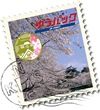 ナガサカコインの郵送買取