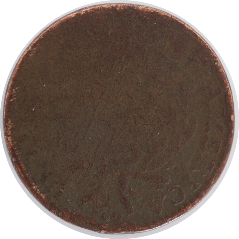 Draped Bust
