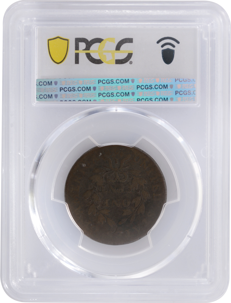 Draped Bust